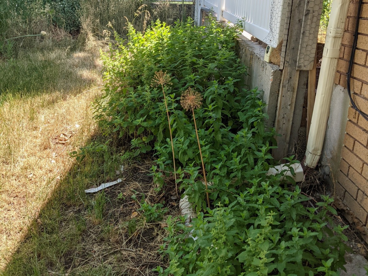 Moving Again (and&nbsp;Stress)