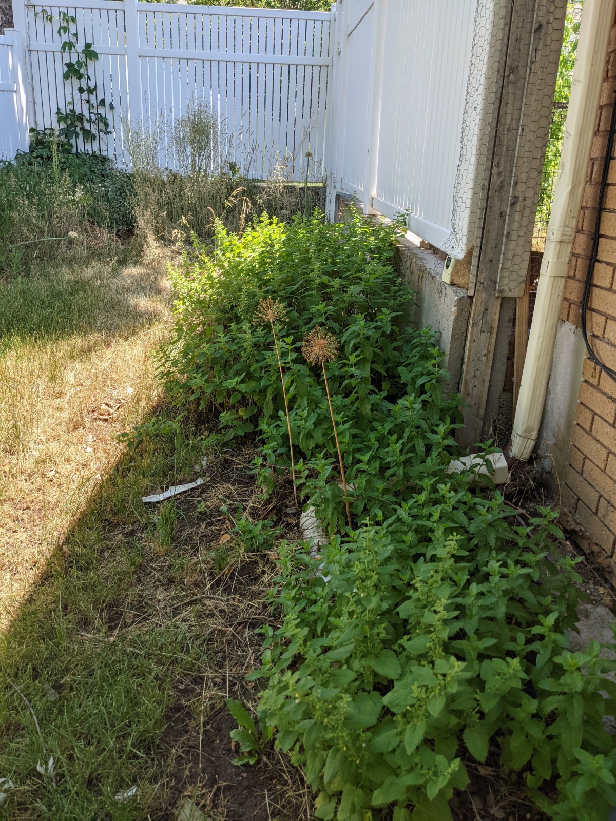 Moving Again (and&nbsp;Stress)