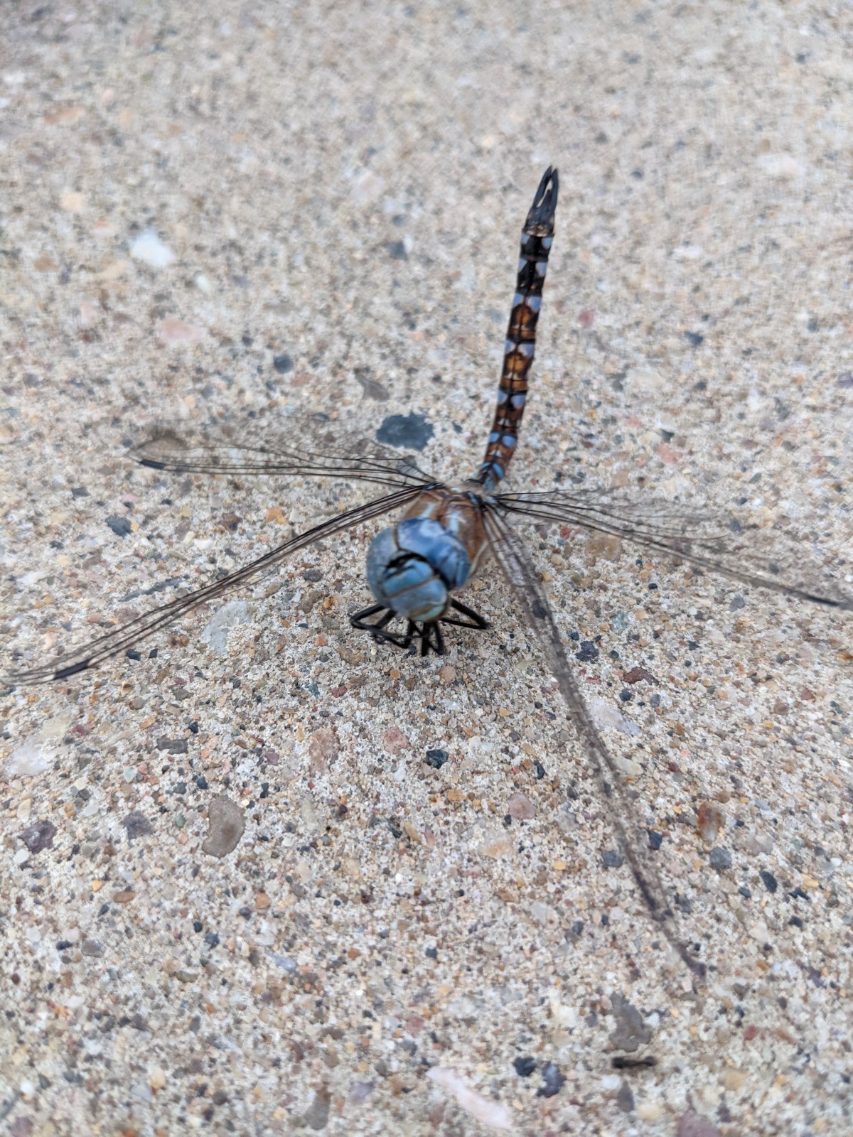 The name of this&nbsp;blog